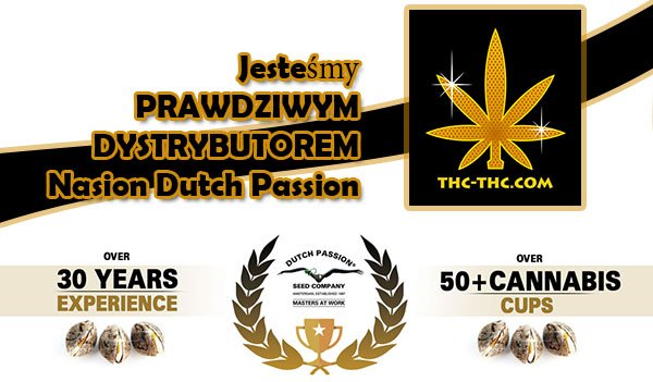 dystrybutor, dutch passion, nasiona marihuany, nasiona konopi, sklep, thc-thc