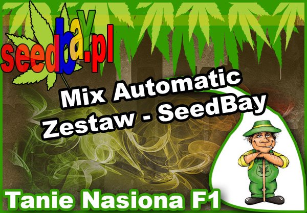 nasiona, marihuany, konopi, feminizowane, mix, automatic, seedbay