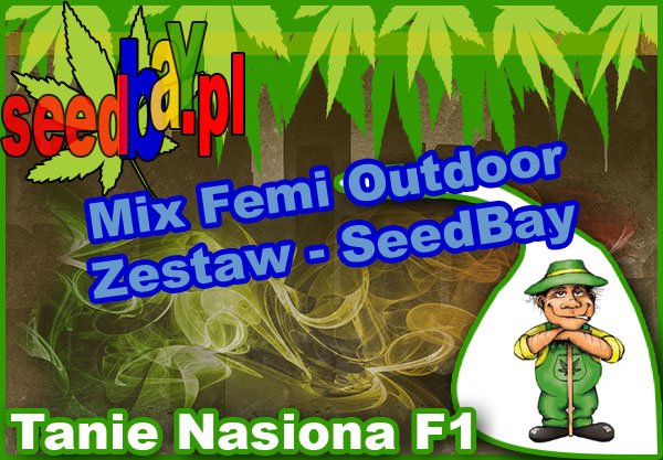 nasiona, marihuany, konopi, feminizowane, mix, outdoor, seedbay