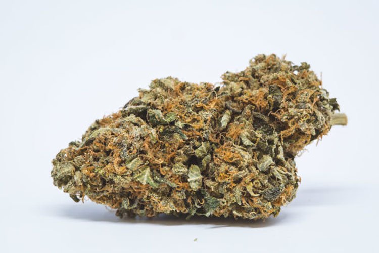 Nasiona Konopi, Nasiona Marihuany, Recenzja Odmiany, Orange Bud